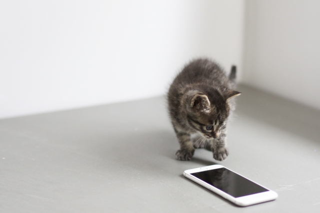 スマホをタップして検索